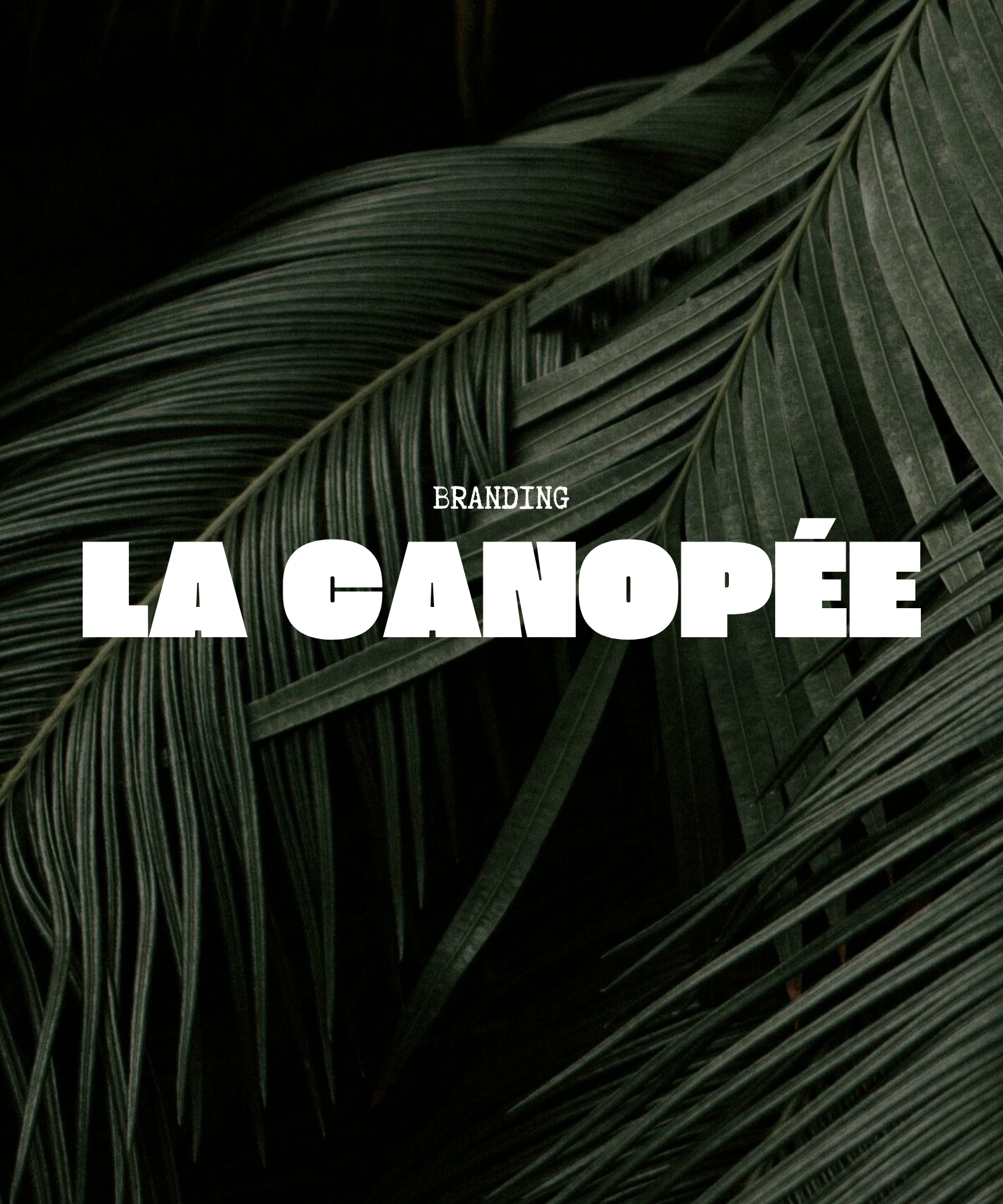 Branding et graphisme à bordeaux restaurant