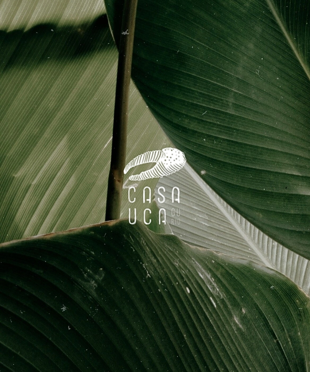 Logo casa uca