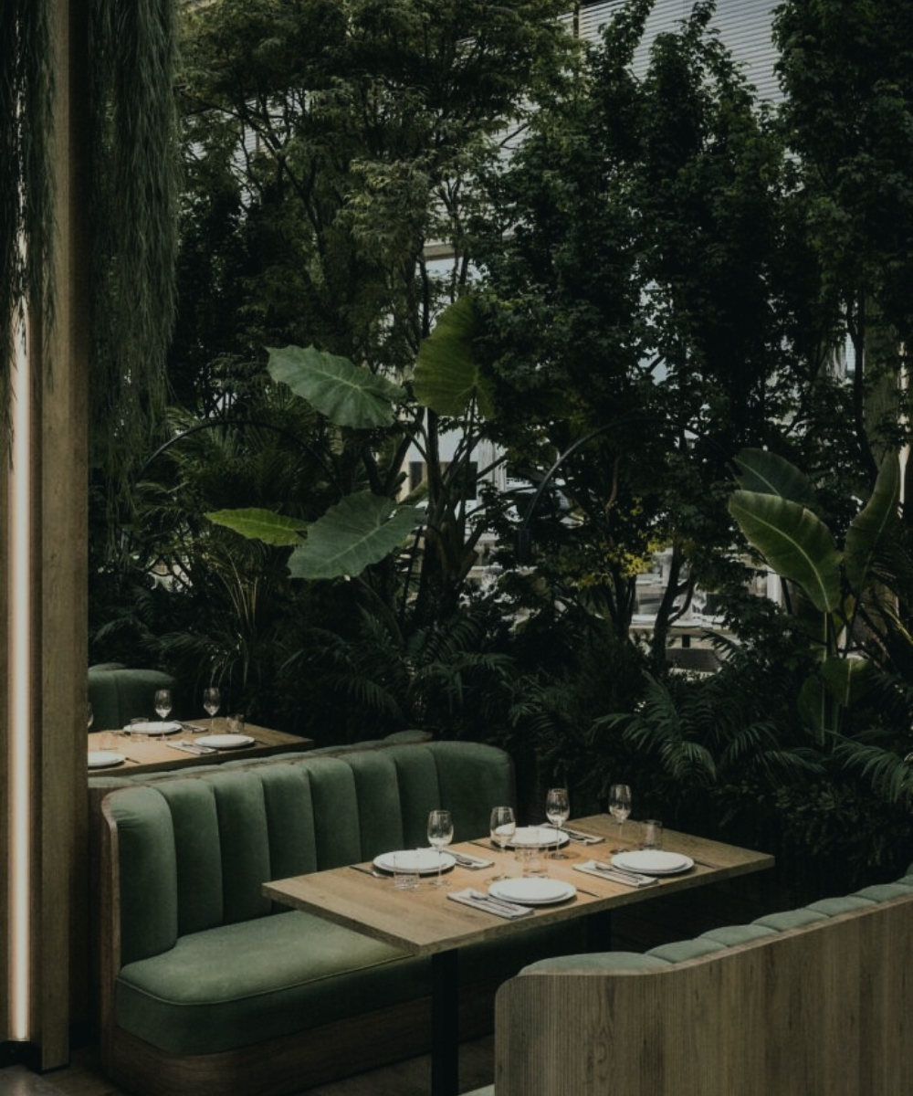 Moodboard branding la canopee